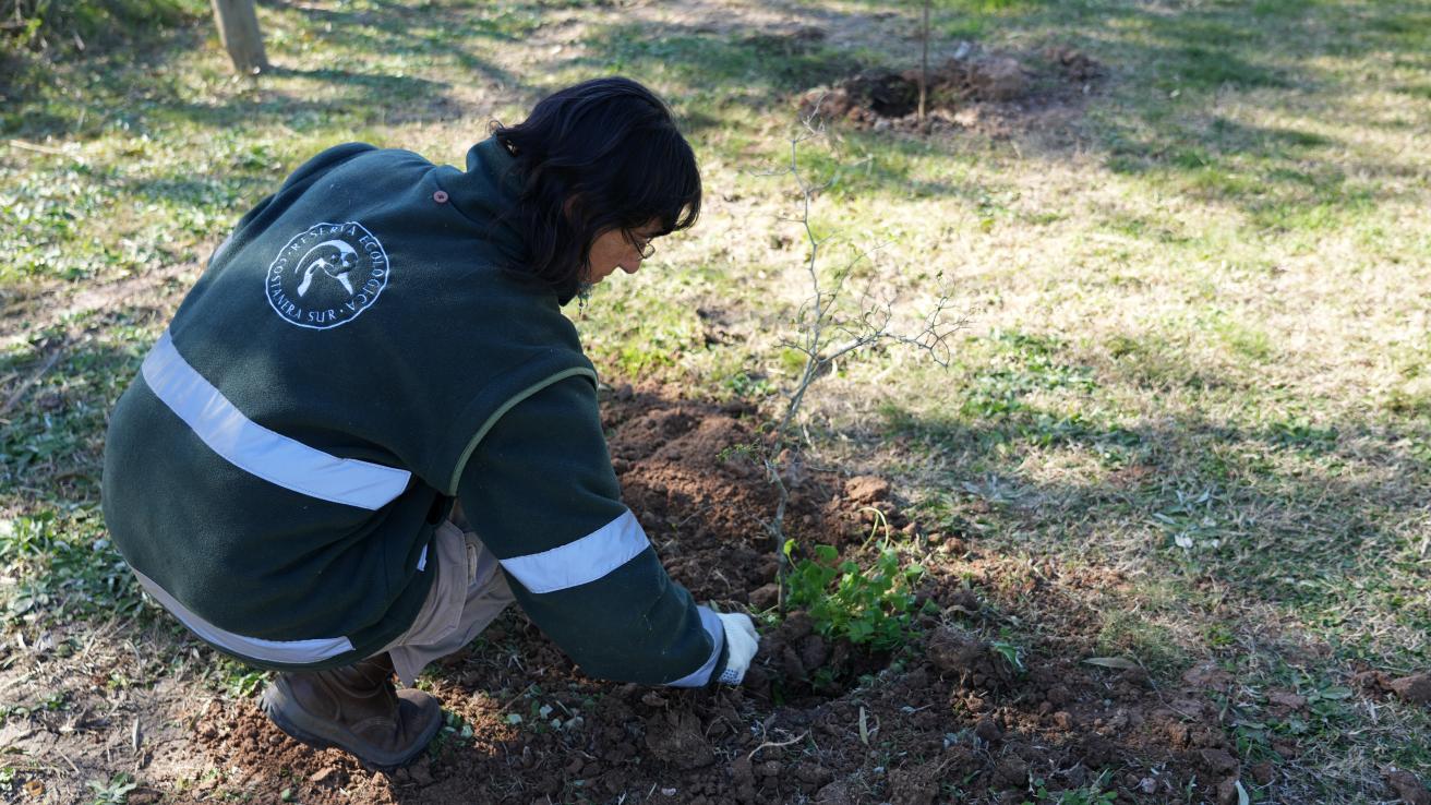 Reserva Ecológica Costanera Sur