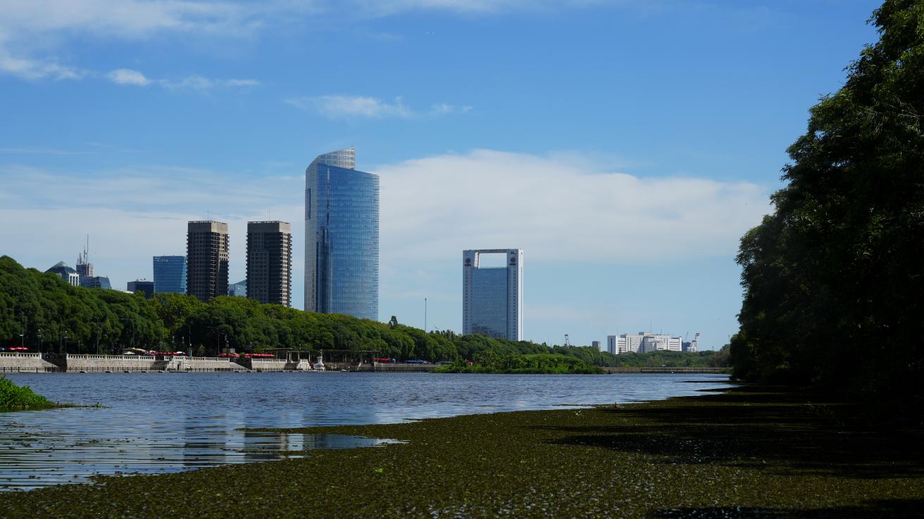 Reserva Ecológica Costanera Sur