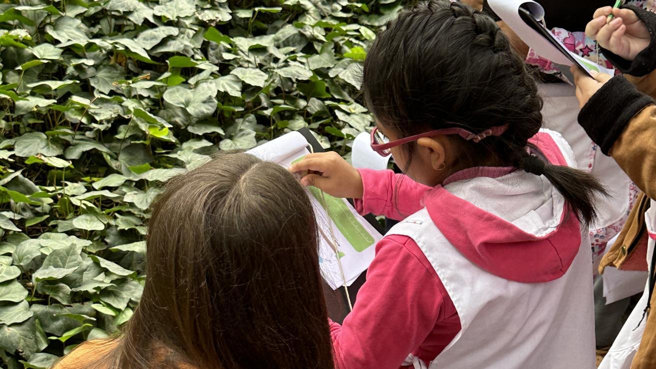 Jardín Botánico Carlos Thays
