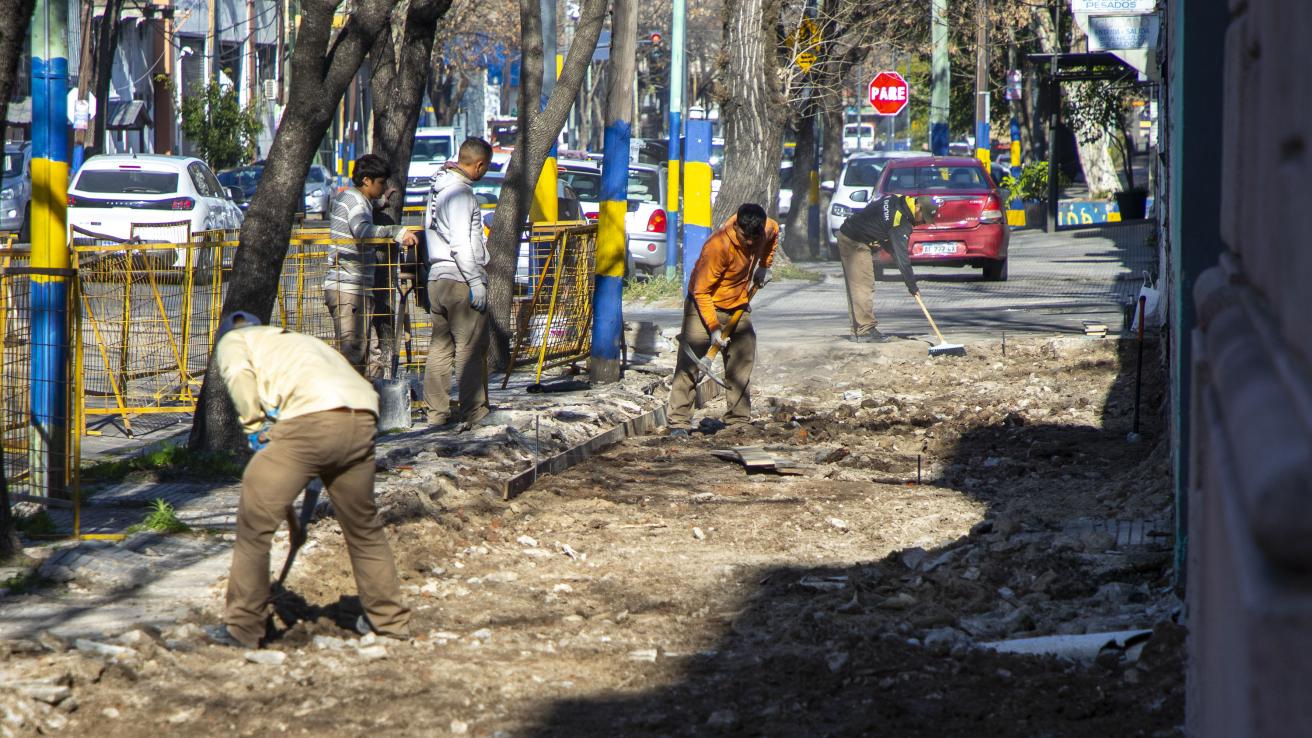 Obreros trabajando en calzada.