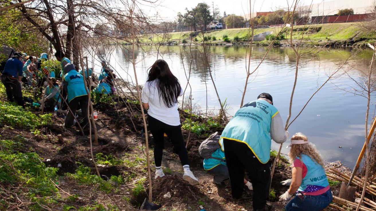 Plantación en el Camino de Sirga