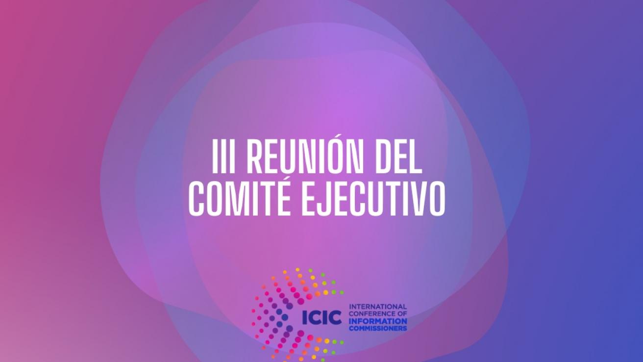 3ra reunión del comité ejecutivo de ICIC