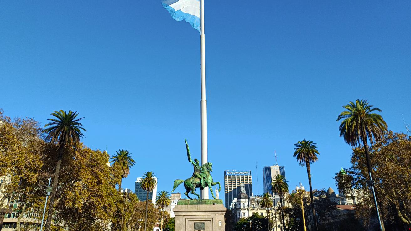 Palmeras de plaza de mayo