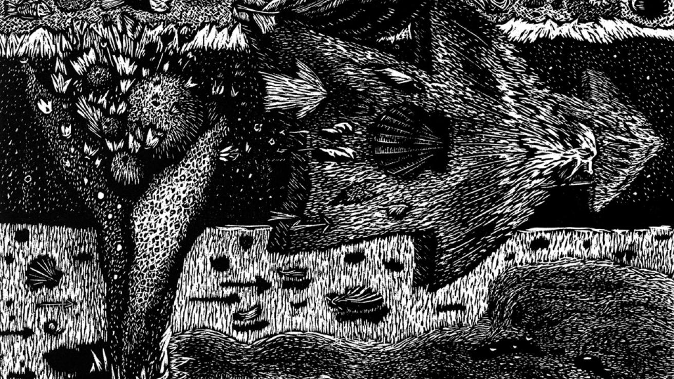 Adrián Pandolfo. Sitios donde vivir apenas unos instantes