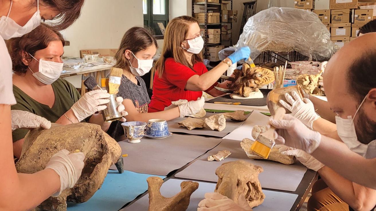 Virrey Liniers | Taller de restauración y conservación de piezas arqueológicas y paleontológicas