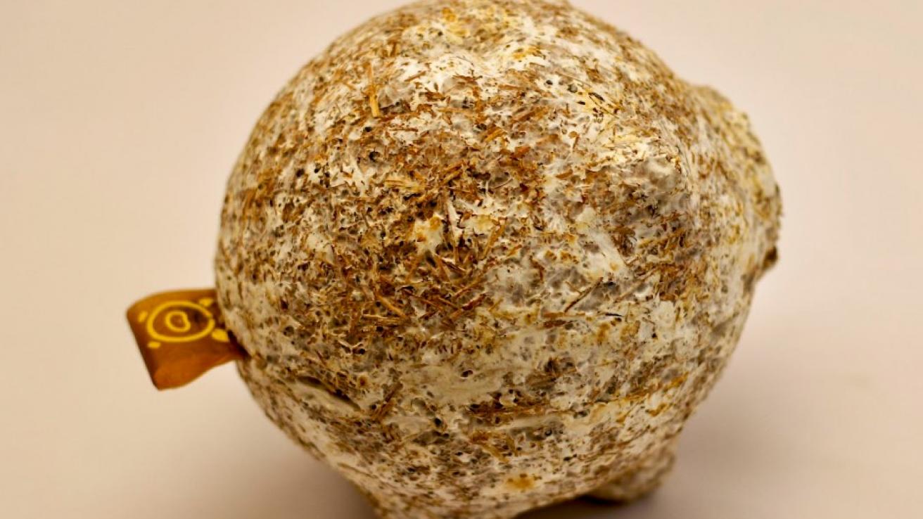 alcancía realizada con yerba