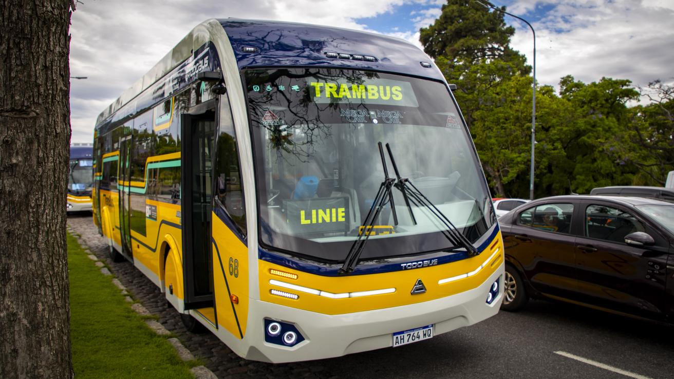 Trambus