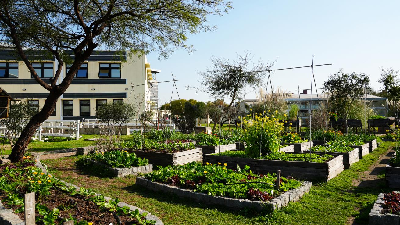 Paseo Ambiental del Sur