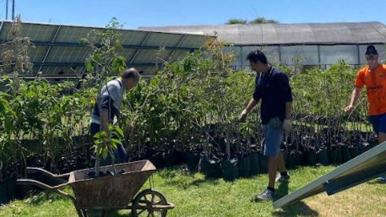 Voluntarios en el vivero