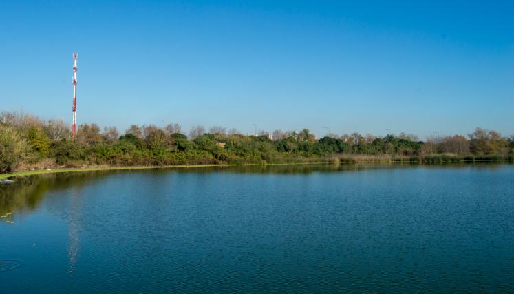 lago 5