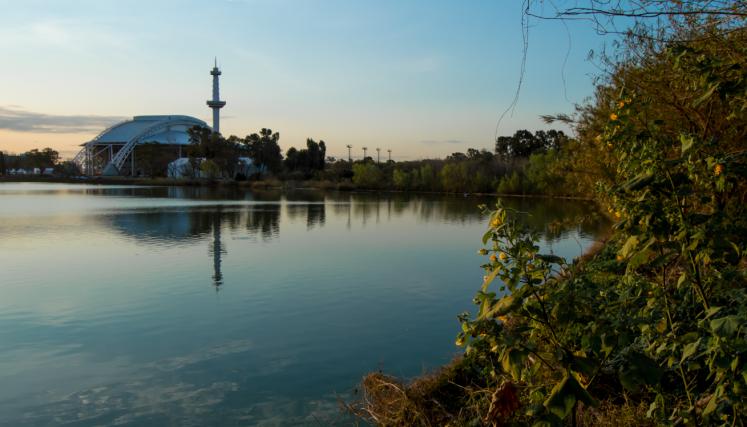 lago 7