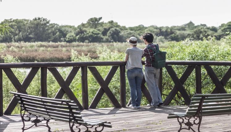 Reserva Ecológica Costanera Sur.