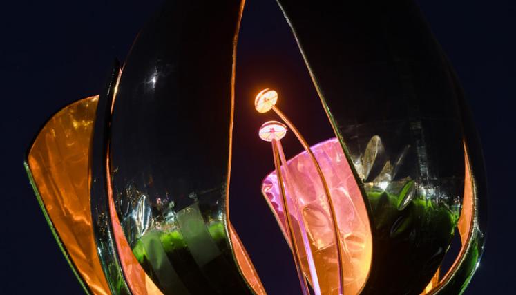 Floralis naranja 4