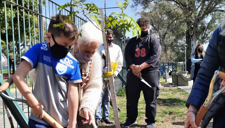 Plantaciones - Comunidad.