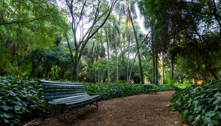 Jardín Botánico