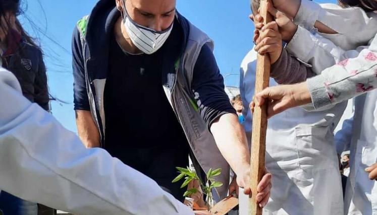 Plantaciones - Comunidad.