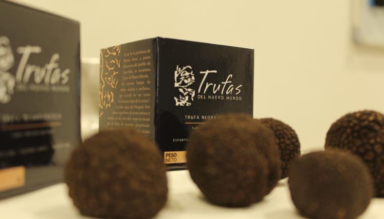 Trufa 2