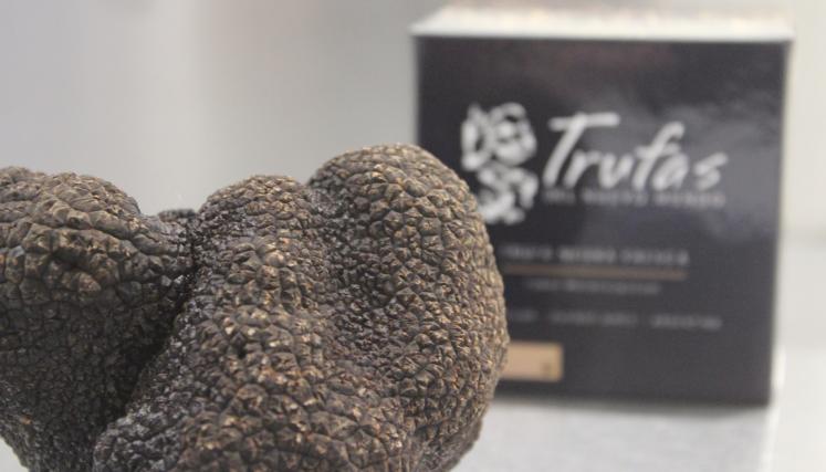 Trufa 3
