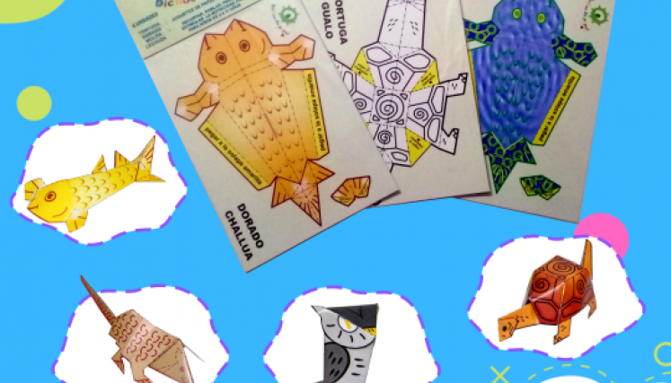 Bichos de Papel