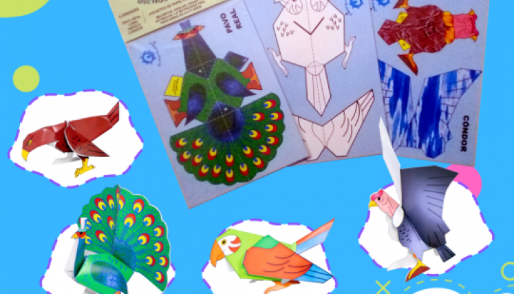 Bichos de Papel