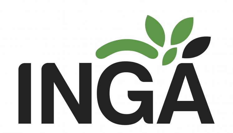 Inga
