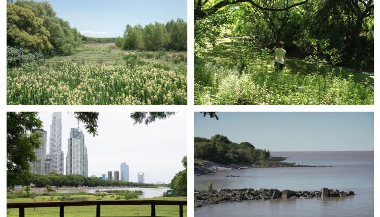 Reserva Ecológica Costanera Sur