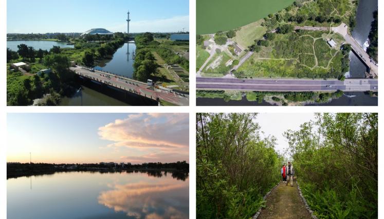 Reserva Ecológica Lago Lugano