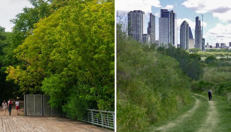 reserva costanera norta y reserva costanera sur 