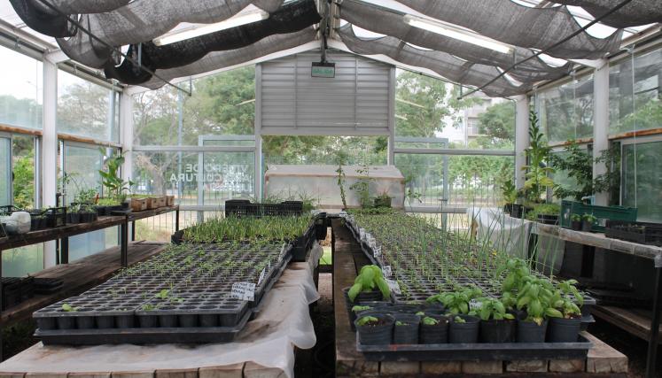 Vivero Nativas