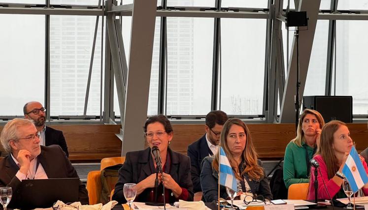 La titular del OGDAI en el encuentro de la RTA