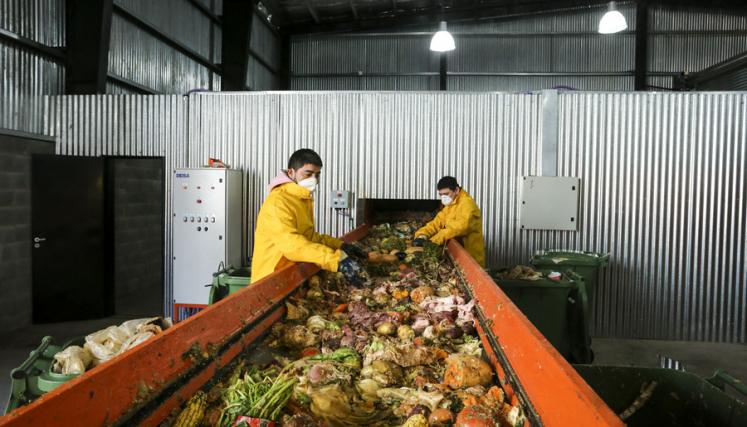 foto-planta-organicos