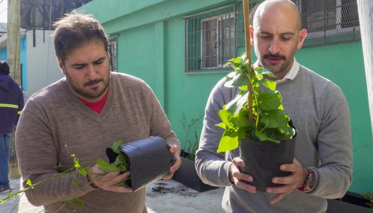 funcionatios con plantas