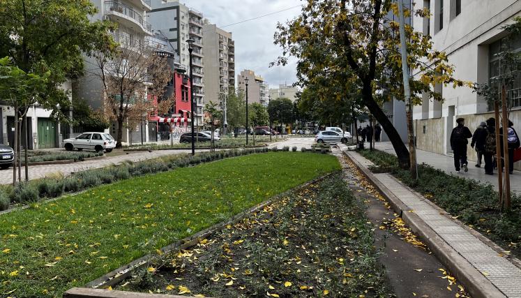 arbolado en veredad de baires