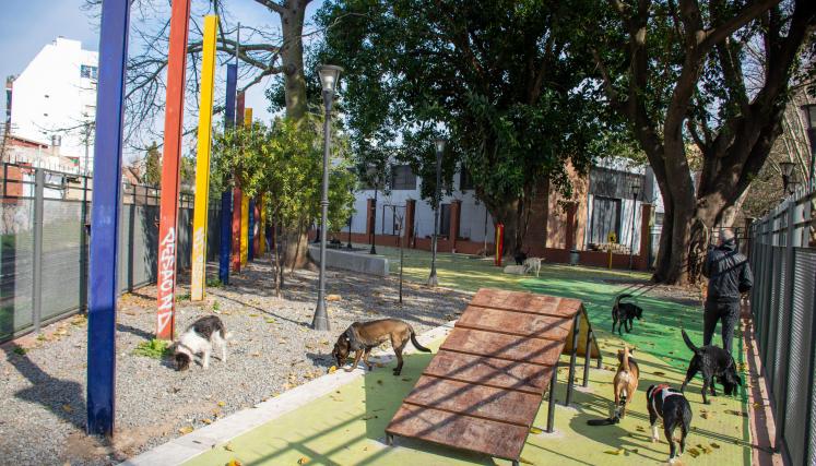 Canil Plaza Estación Coghlan