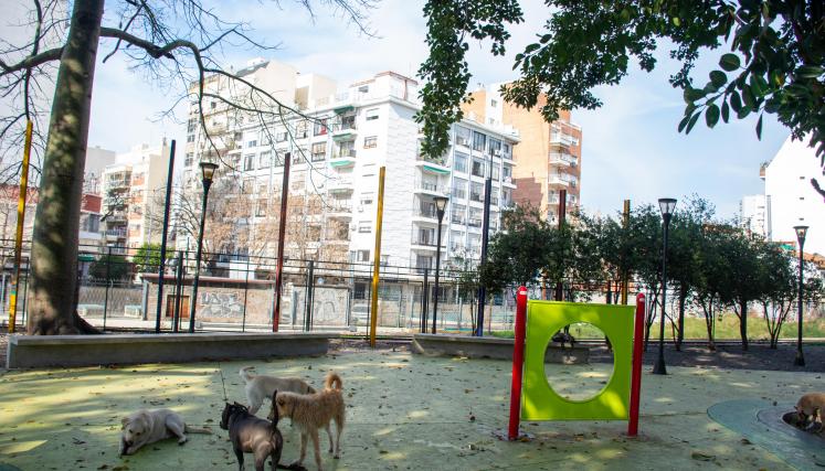 Canil Plaza Estación Coghlan