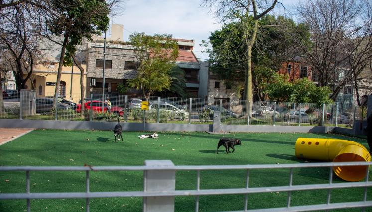 Plaza 25 de Agosto. Canil.