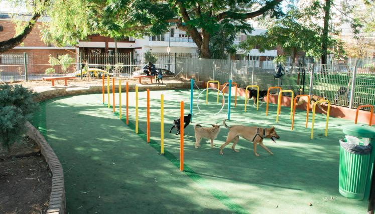 Plaza Nuestra Señora de la Asunción. Canil.