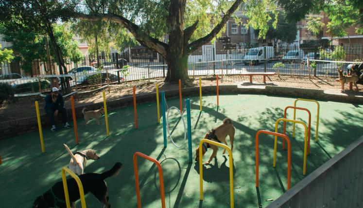 Plaza Nuestra Señora de la Asunción. Canil.