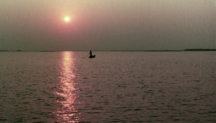 Mis impresiones del Iberá