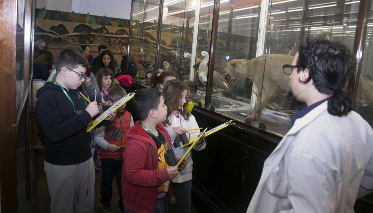 Museo Bernasconi | Noche de los museos 2022