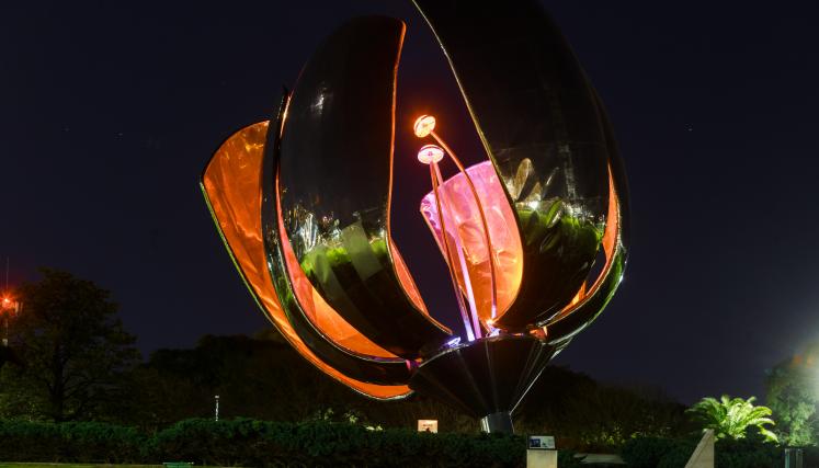 floralis-naranja.jpg