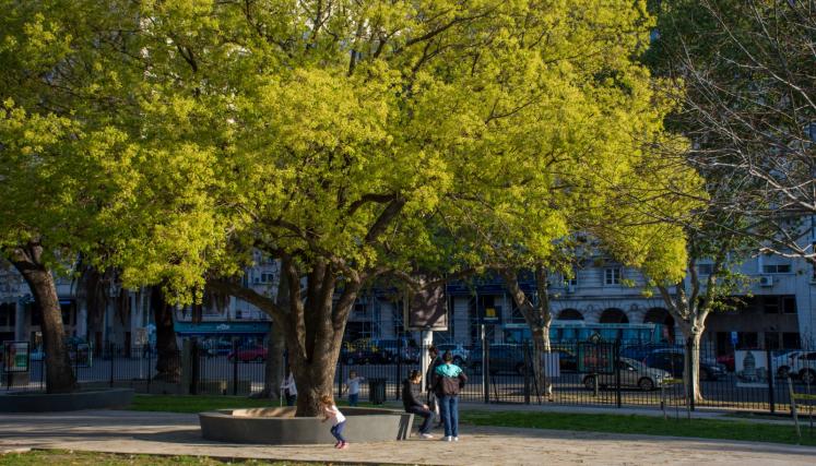 Renovación Parque Thays 