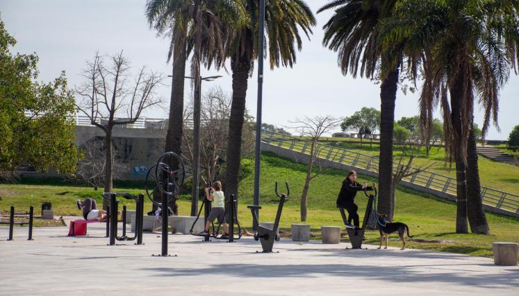 Renovación Parque Thays 