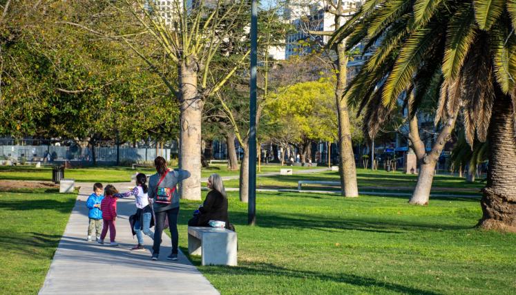 Renovación Parque Thays 