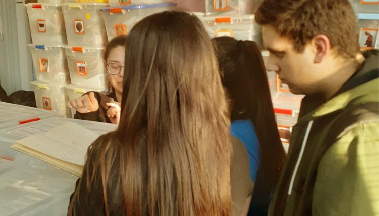 Visitantes en el museo