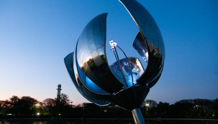 floralis-azul-turquesa.jpg