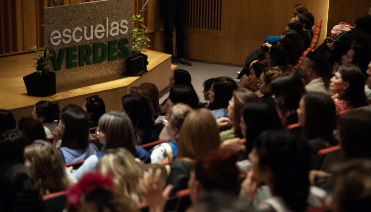 Más de 550 escuelas fueron reconocidas por sus proyectos ambientales en la Ciudad
