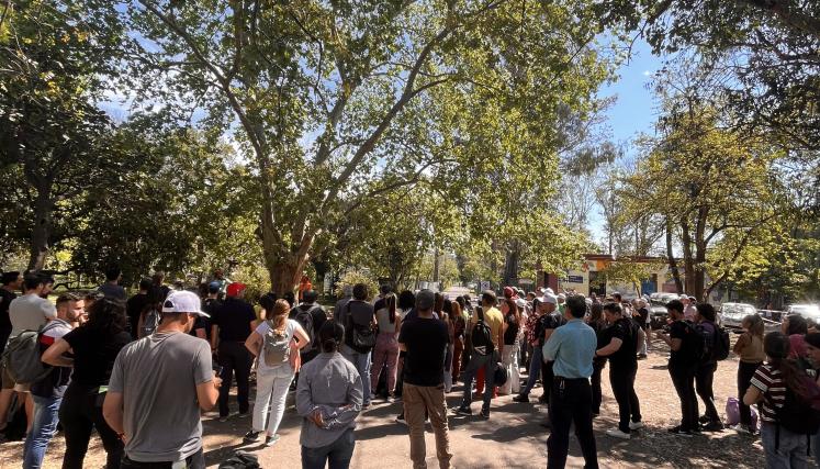 Participantes de la jornada durante la práctica de poda