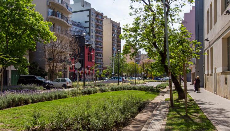 20231025 Calle Verde Triunvirato-4849.jpg