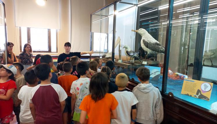 Vacaciones en el Bernasconi